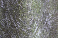 Laycock fibreglass roof work